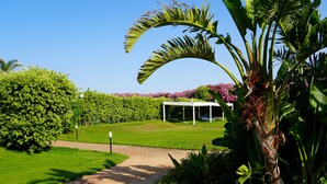 Un sendero en un jardín conduce a un pabellón, rodeado de abundante vegetación y plantas en flor.