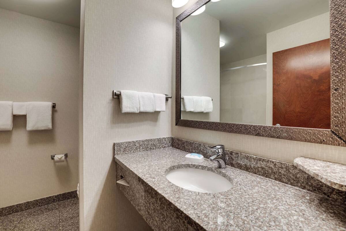 combined shower/bathtub, free toiletries, hair dryer, towels