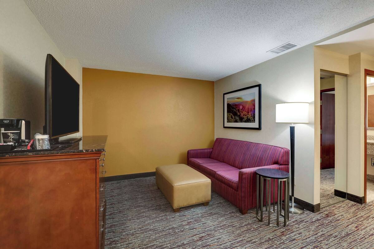 Een hotelkamer met een houten bureau, een televisie, een roze bank, een klein voetenbankje, een ingelijste foto aan de muur en een lamp.
