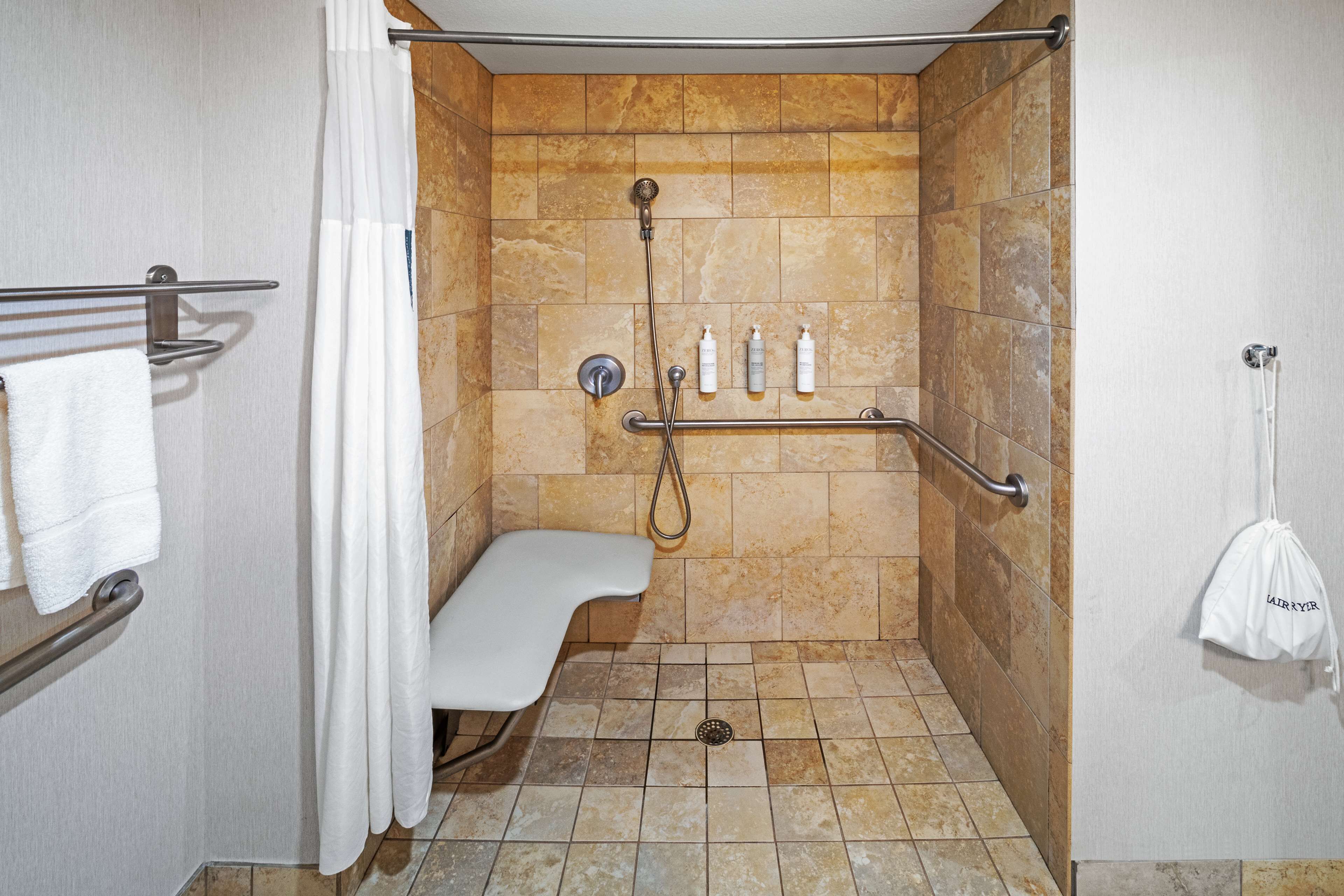 room, 1 king bed, accessible, non smoking | bathroom shower