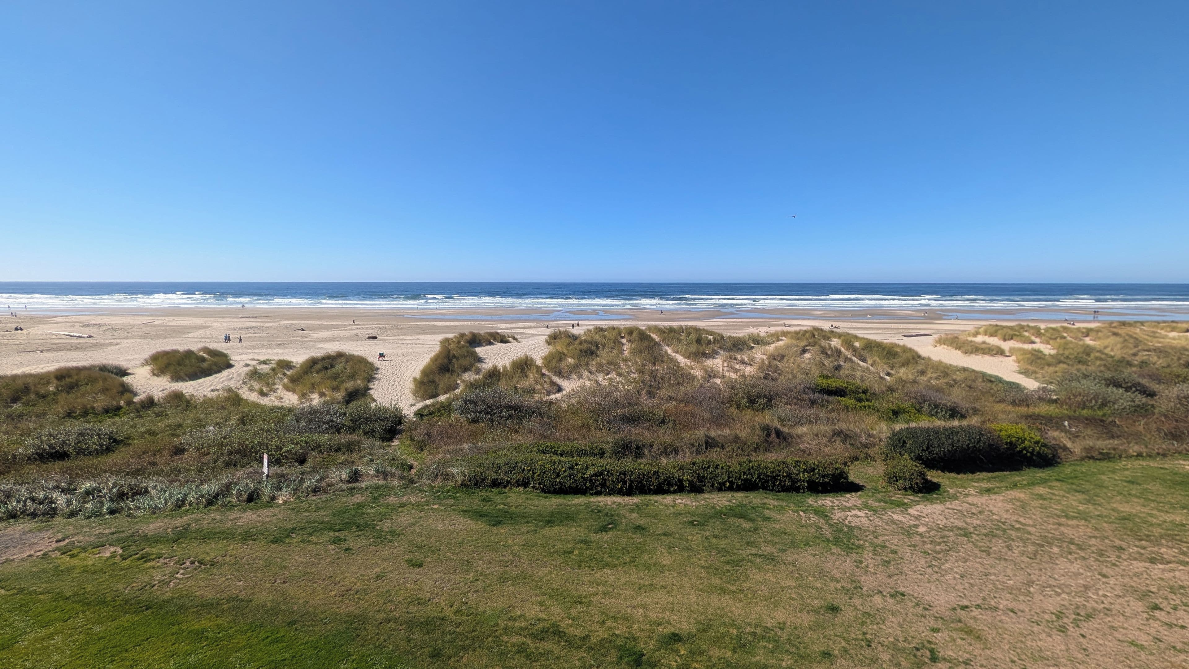 A beach with dunes and a clear view of the ocean.