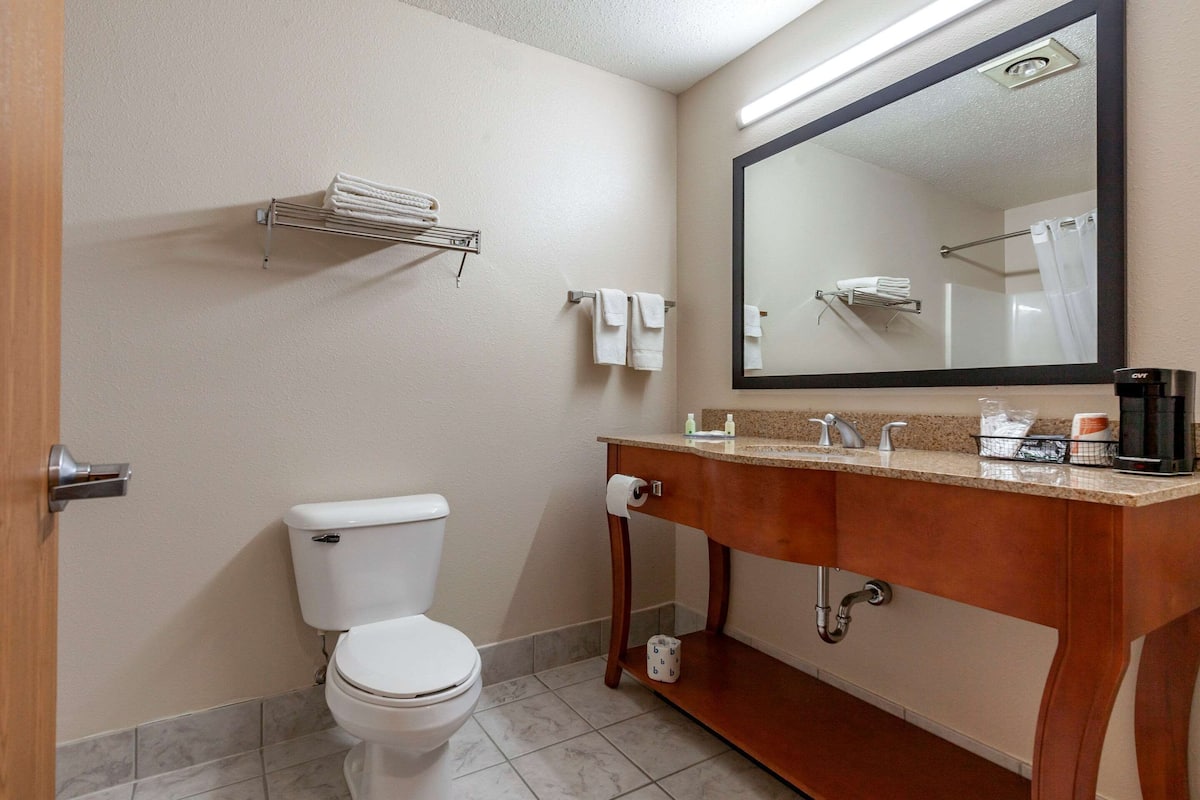 Un baño con inodoro, lavabo con espejo y barra para toallas.