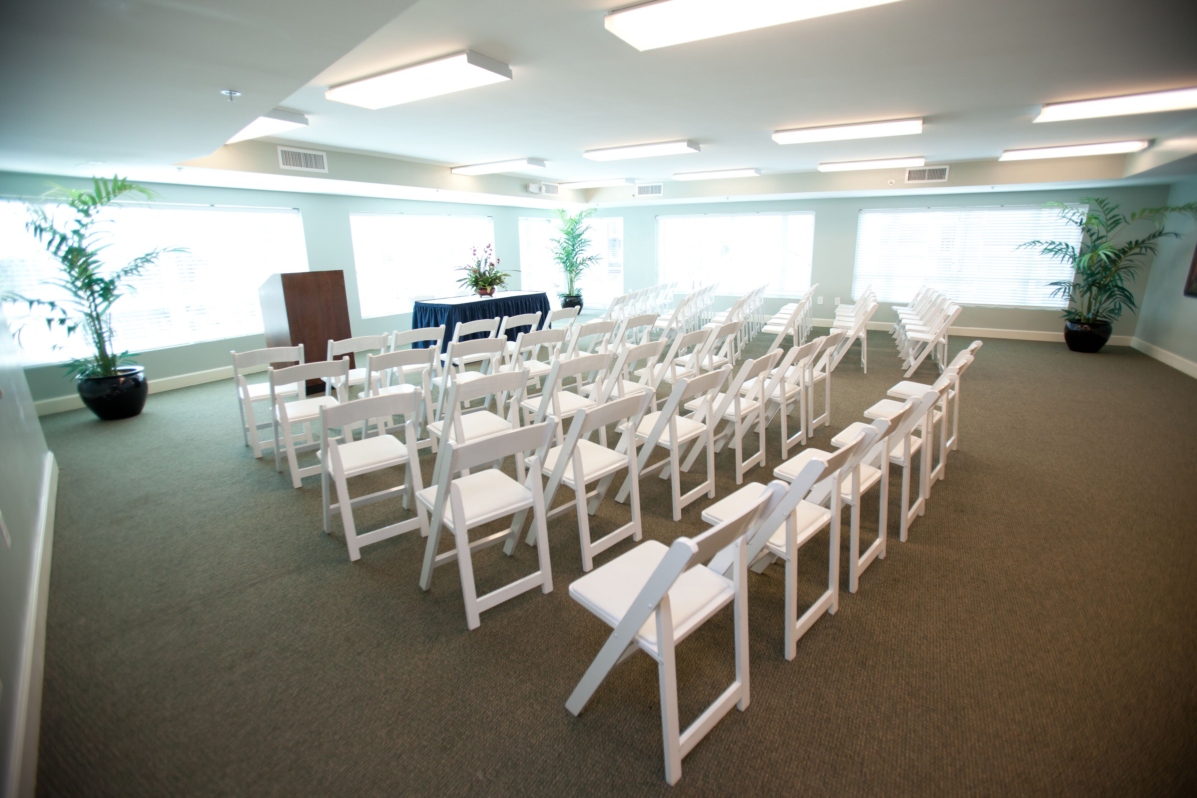 A conference room with rows of white chairs, a podium, and potted plants.