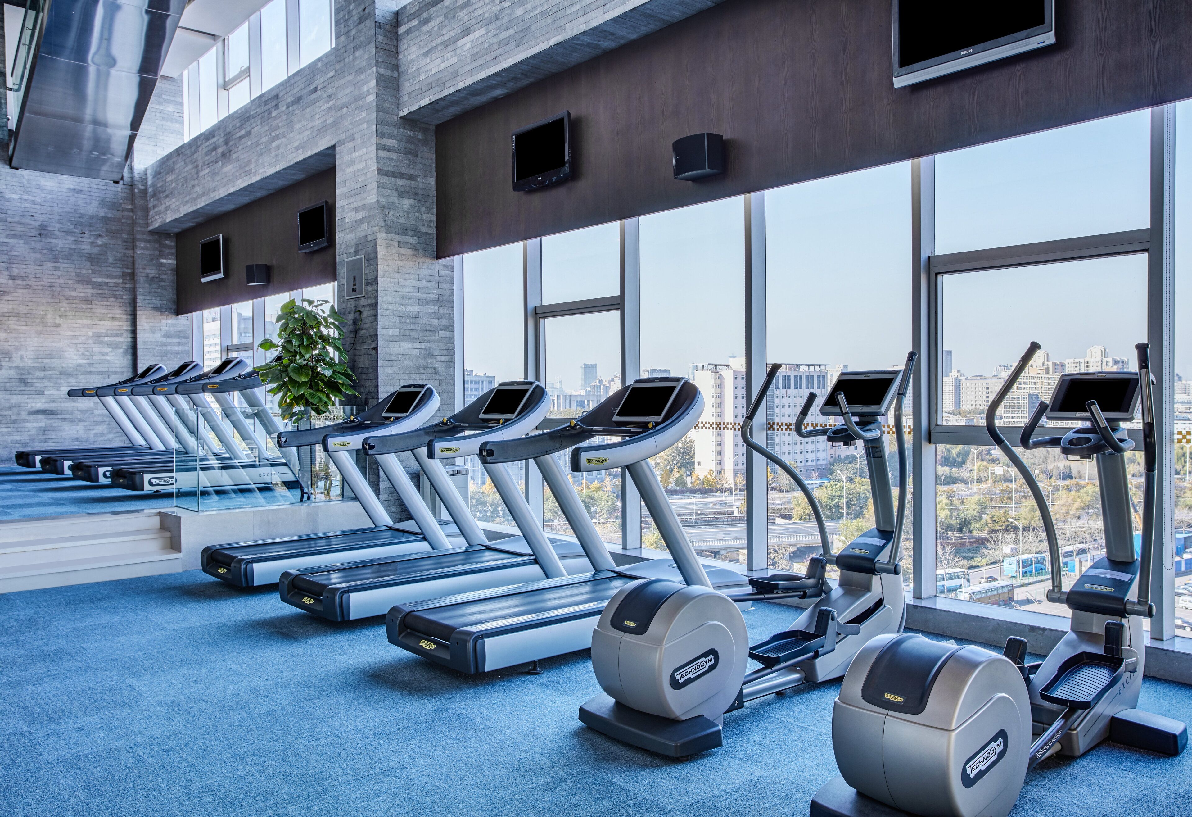 Un gimnasio con cintas de correr y elípticas, ventanas amplias y vistas a la ciudad.