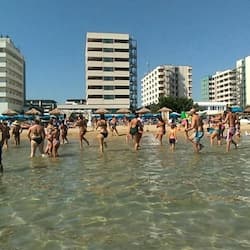 Playa privada, camastros, sombrillas y bar en la playa