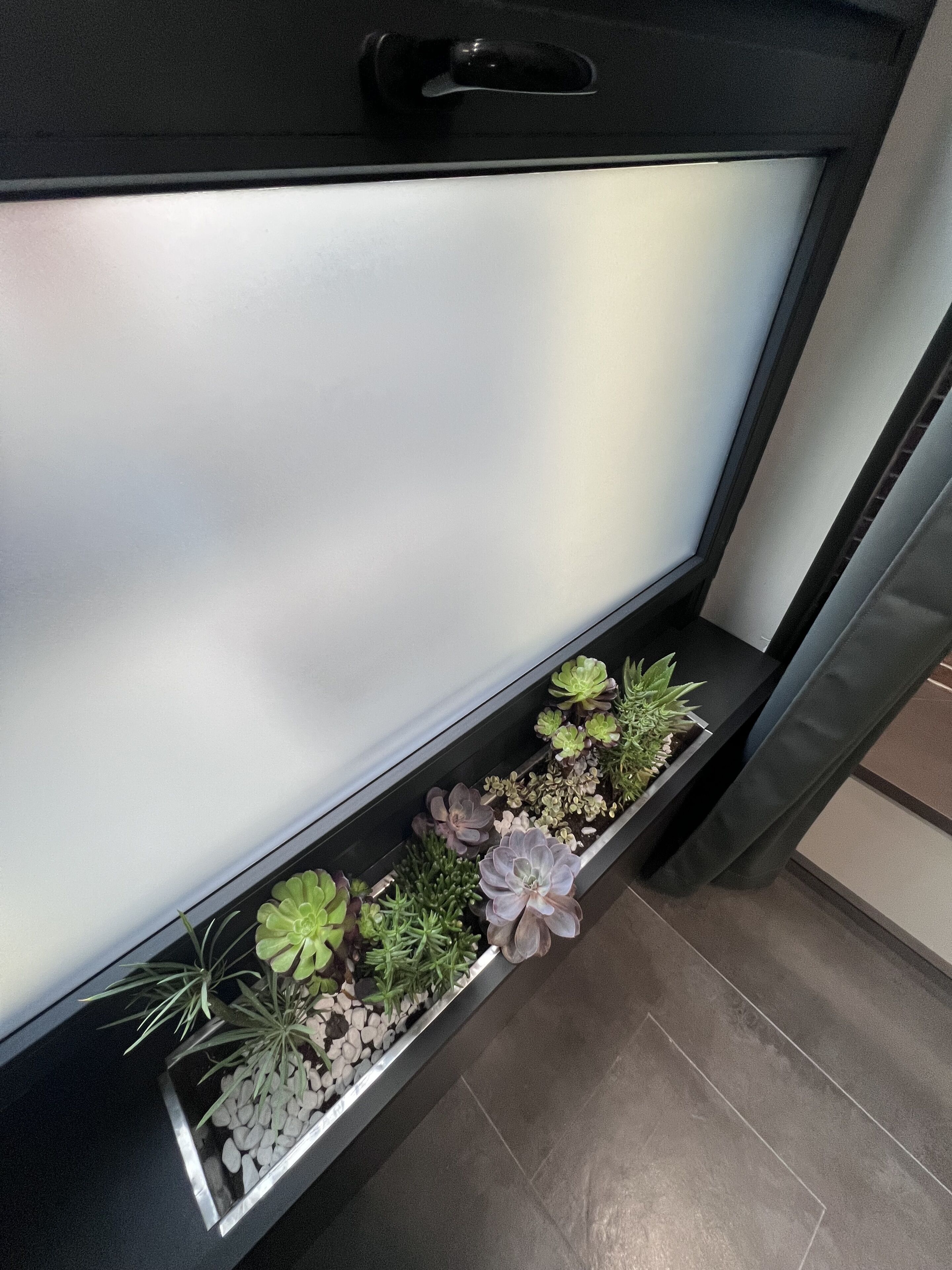 A modern kitchen with a built-in planter shelf containing various succulents and small plants.