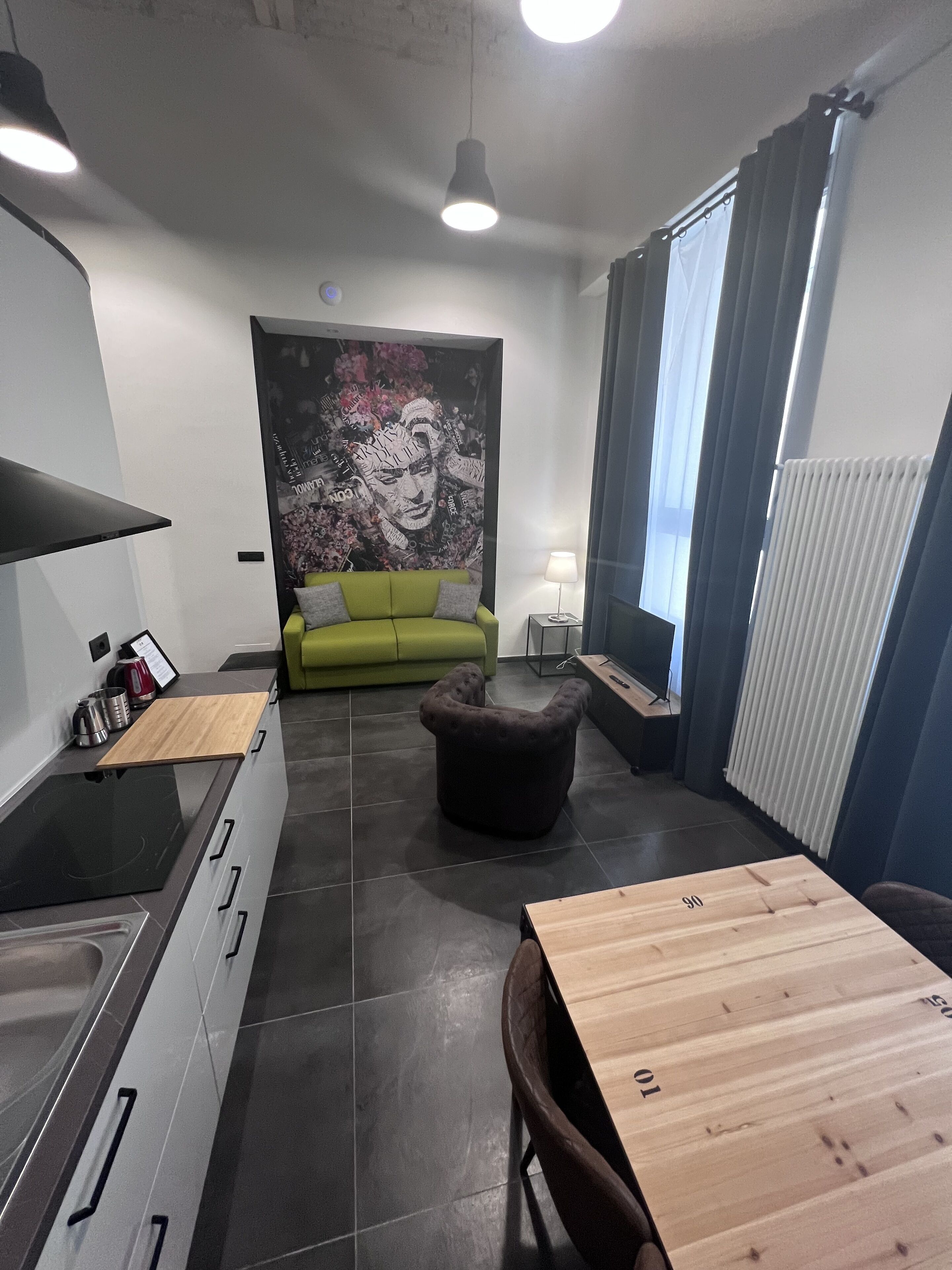 Loft exclusivo, 1 cama matrimonial y sofá cama | Área de sala de estar | Televisión de pantalla plana de 32 pulgadas con canales vía satélite 