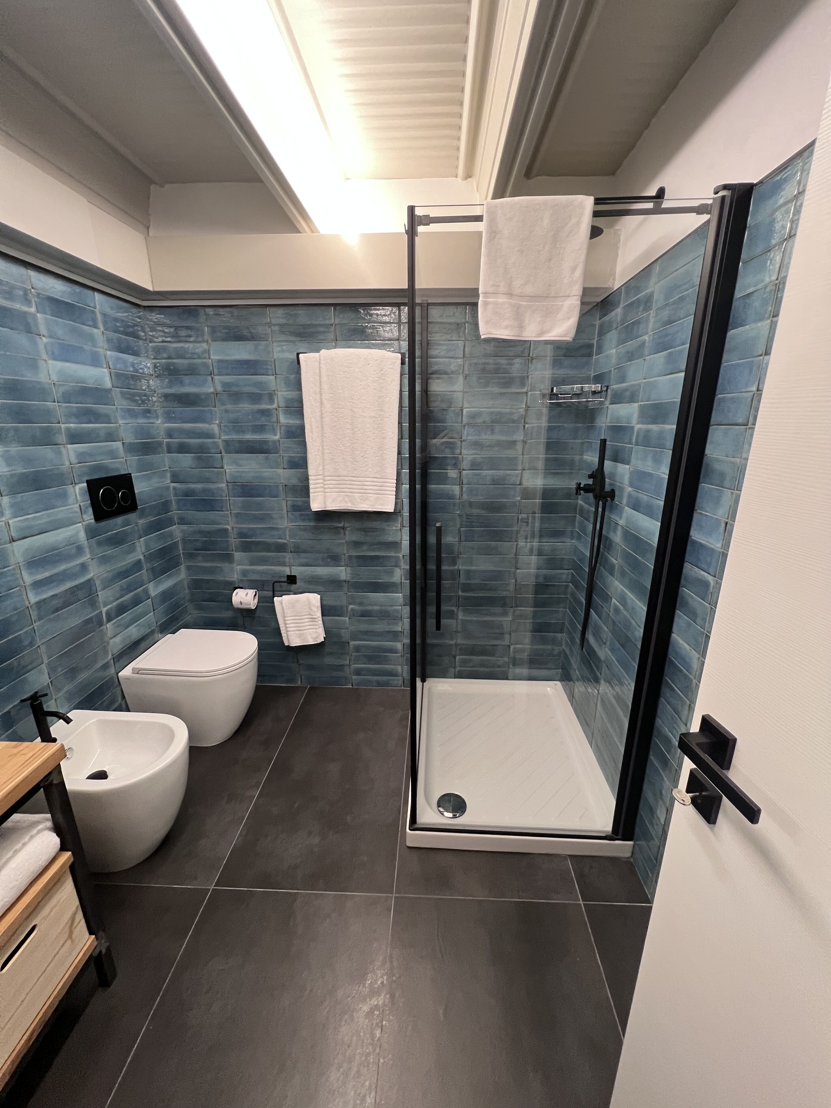 A modern bathroom with a glass-enclosed shower, a toilet, and a bidet.