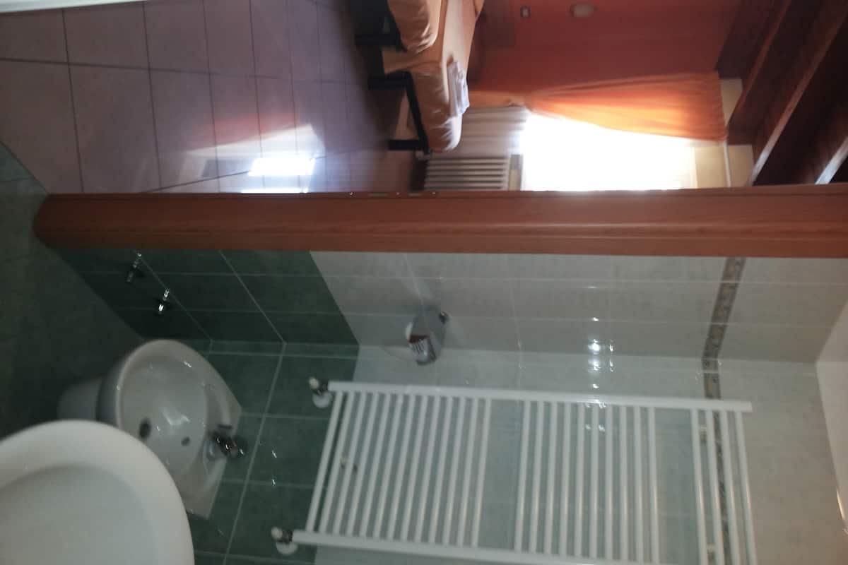 Shower, free toiletries, hair dryer, towels