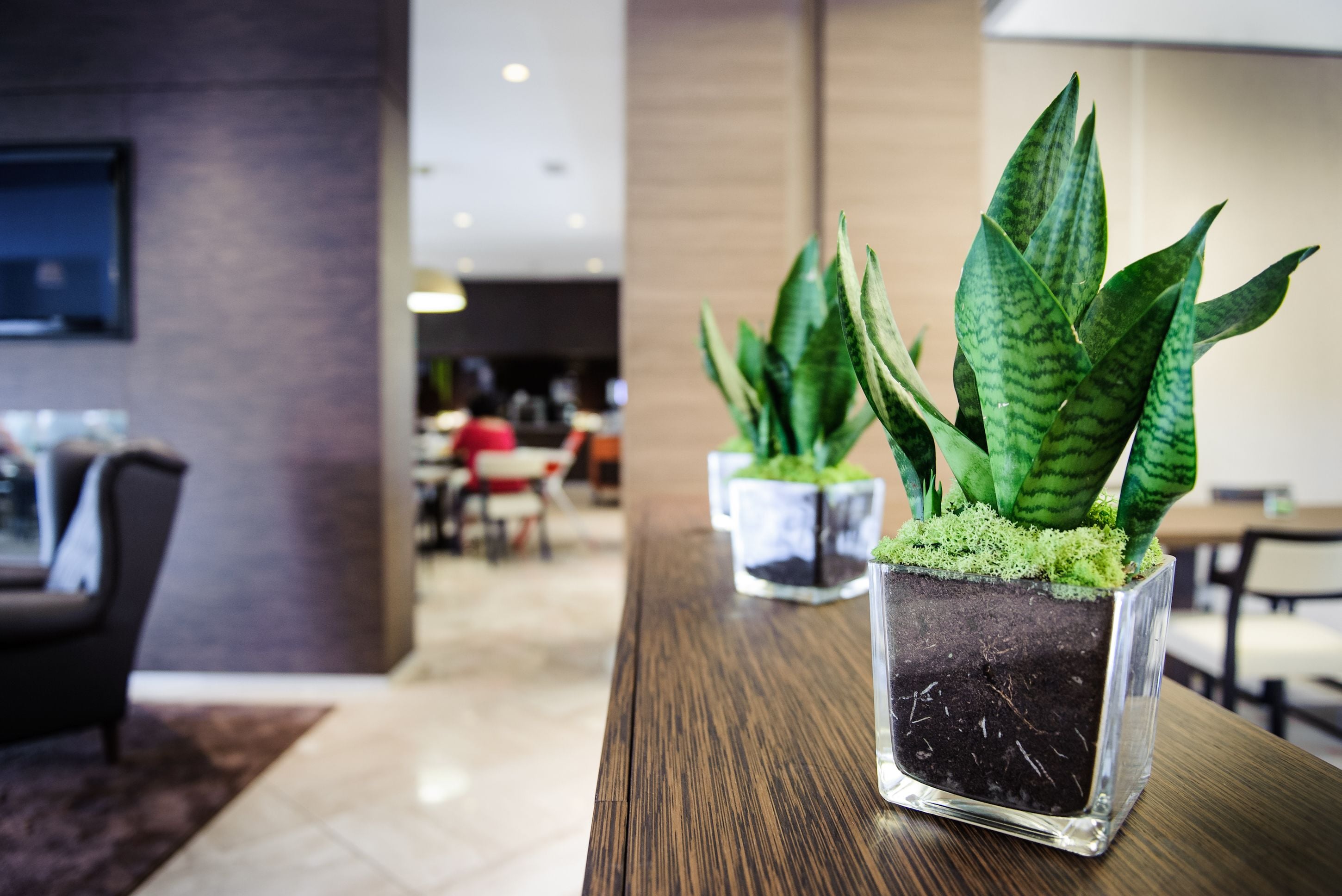 Foto - Enjoy Garda Hotel