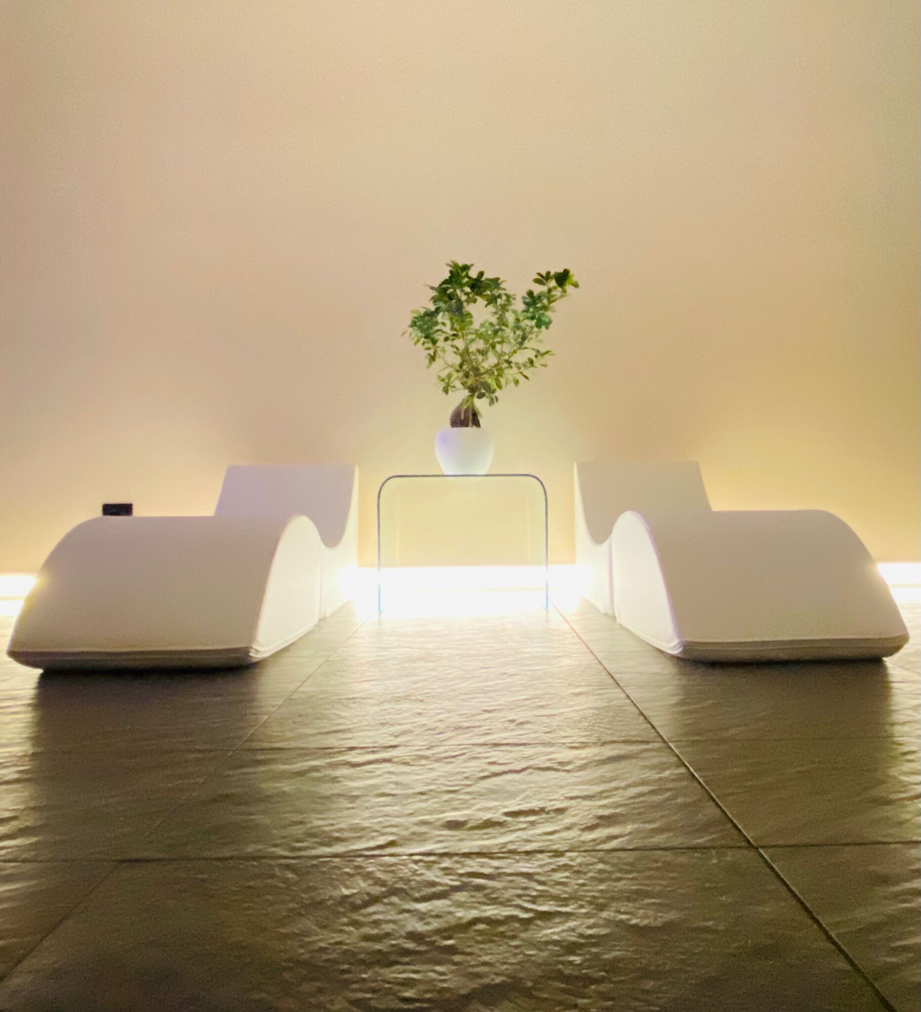 Un espace d’accueil moderne, agrémenté d’une plante en pot, de deux comptoirs d’accueil blancs et d’un sol carrelé.