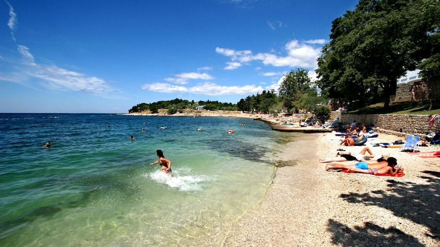 Hotel Zorna Plava Laguna