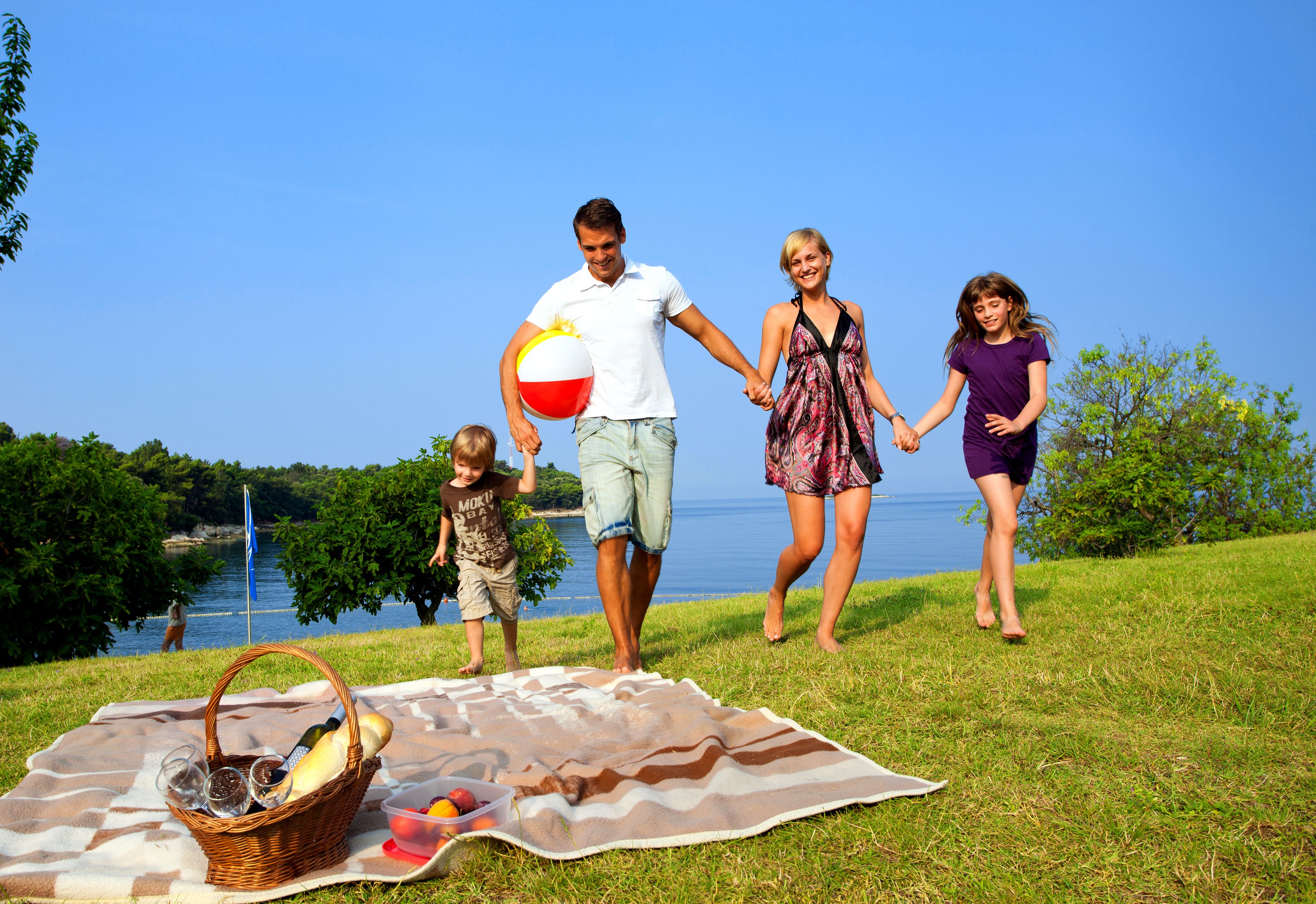 A family picnic on a grassy area with a blanket, picnic basket, and food items.
