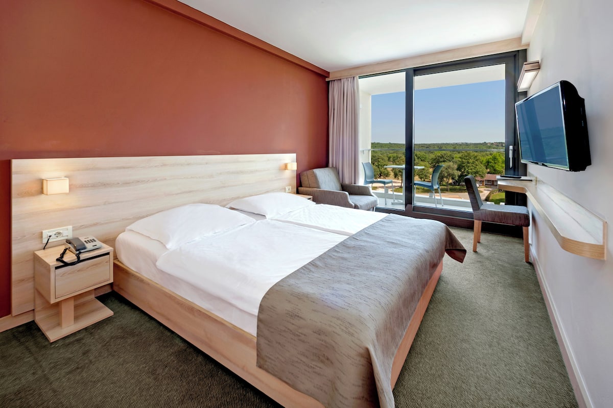 A hotel room with a large bed, a desk with a TV, a chair, and a view of the outdoors.