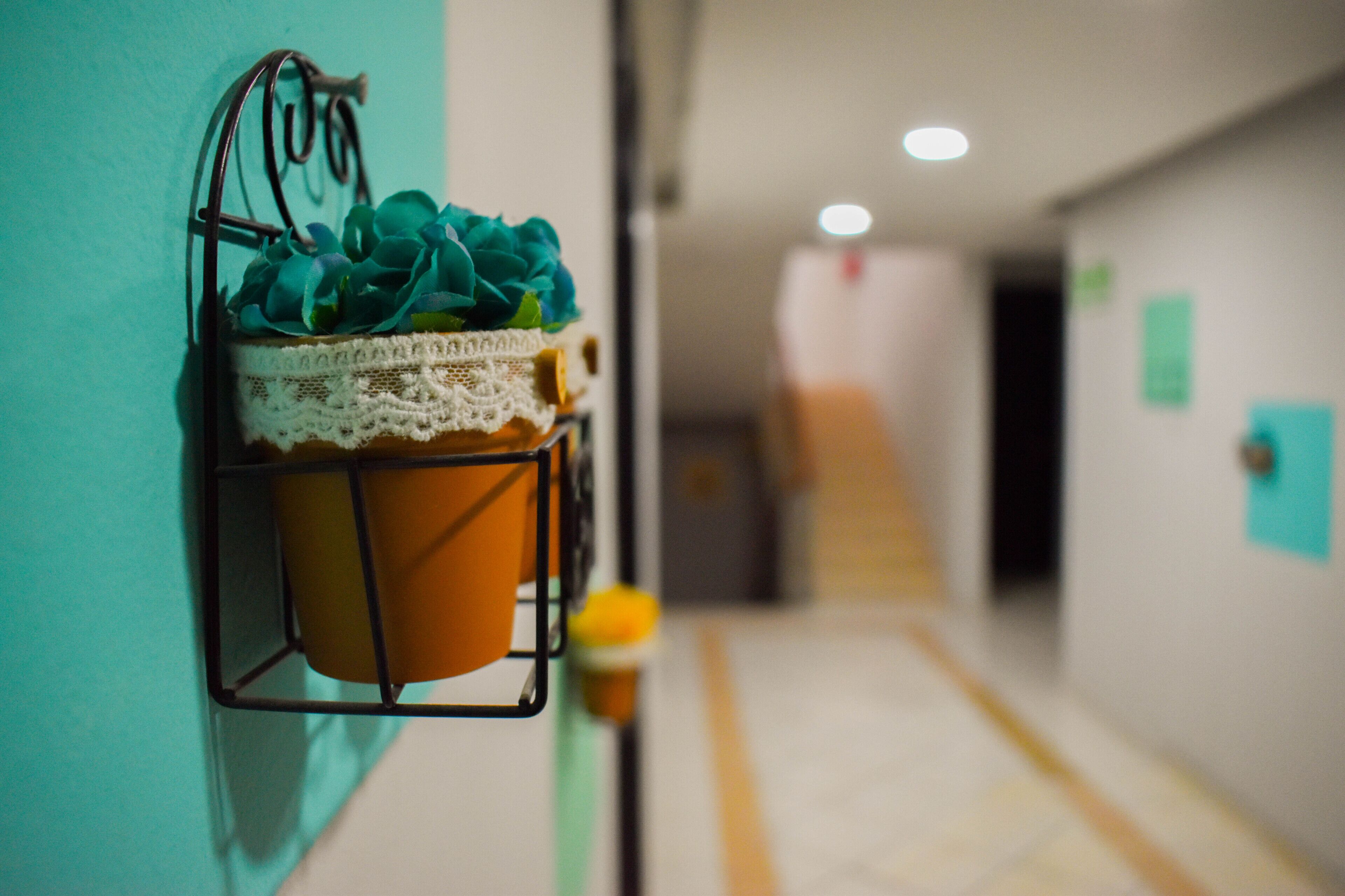 Foto - Hotel Venedik