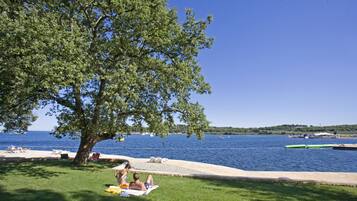 A lakeside setting with a large tree, a grassy area, and a dock with boats.