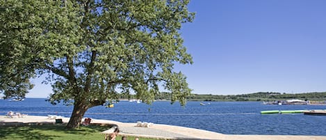 A lakeside setting with a large tree, a grassy area, and a dock with boats.