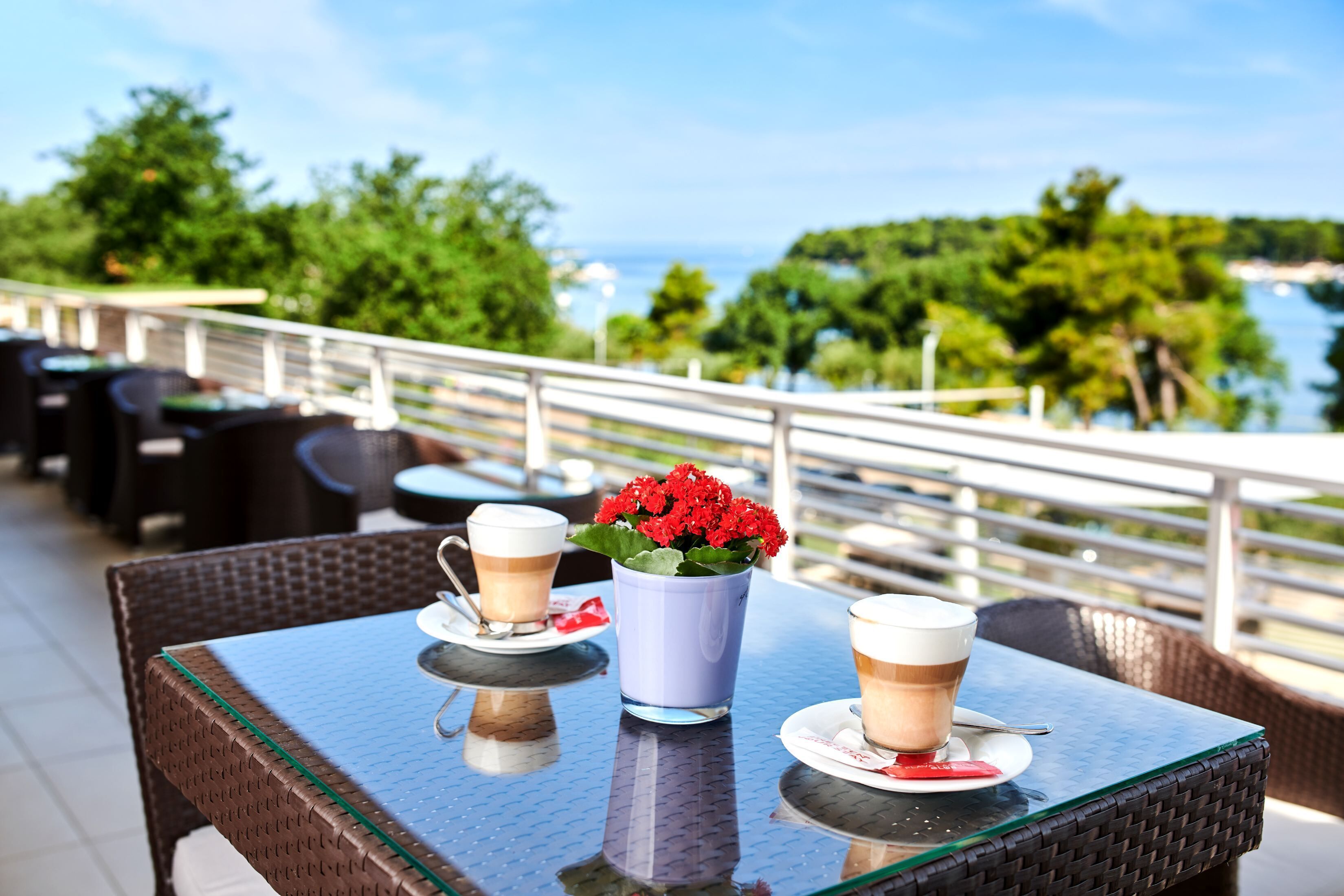 A table with two cups of coffee and a vase of red flowers on a balcony overlooking a scenic view.
