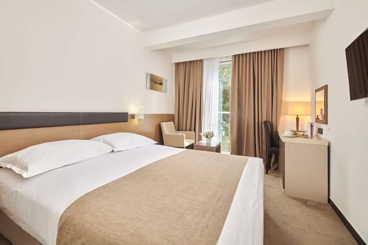 Minibar, desk, laptop workspace, free WiFi