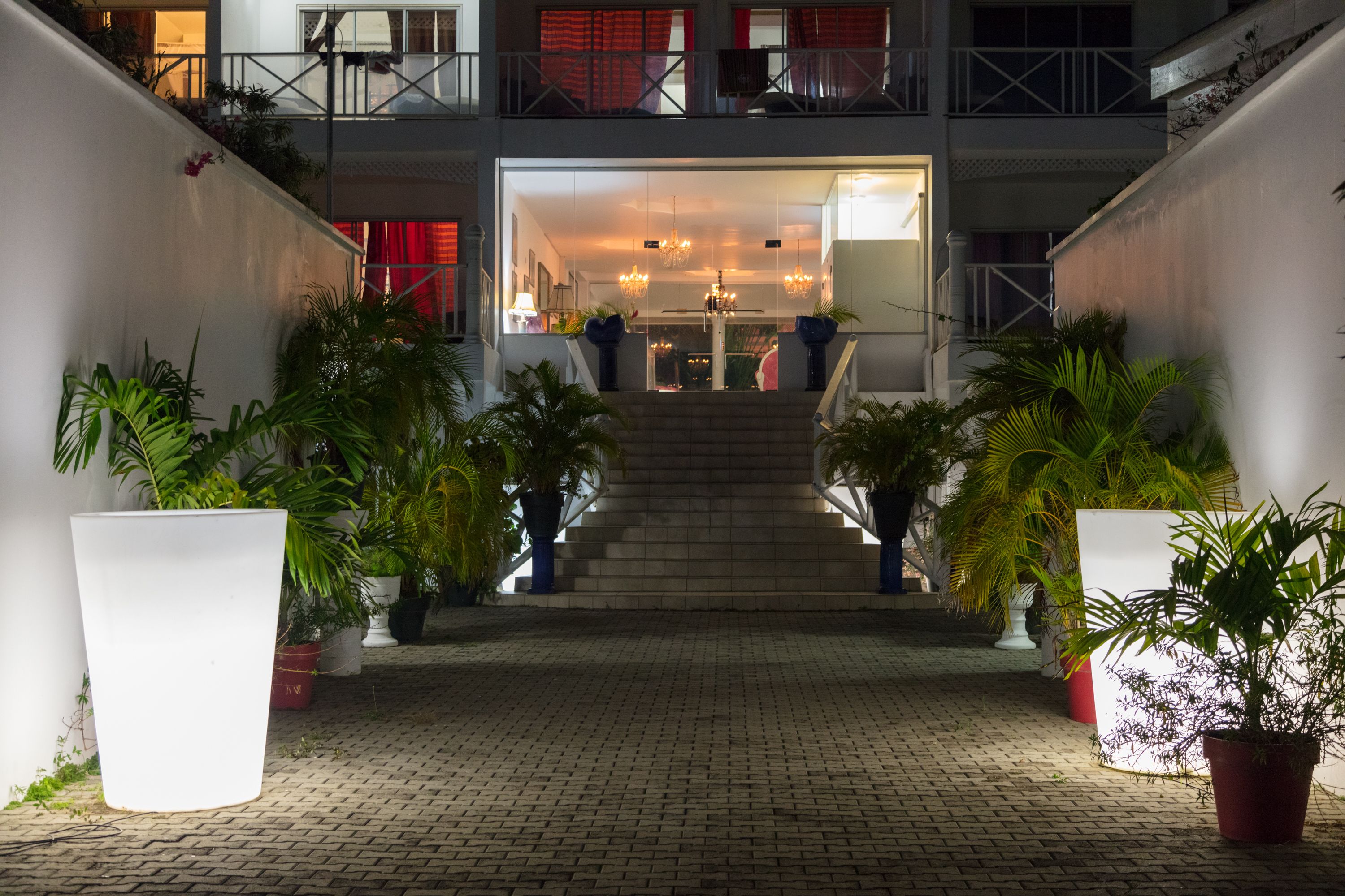 A hotel entrance with a staircase leading to the lobby, surrounded by potted plants.