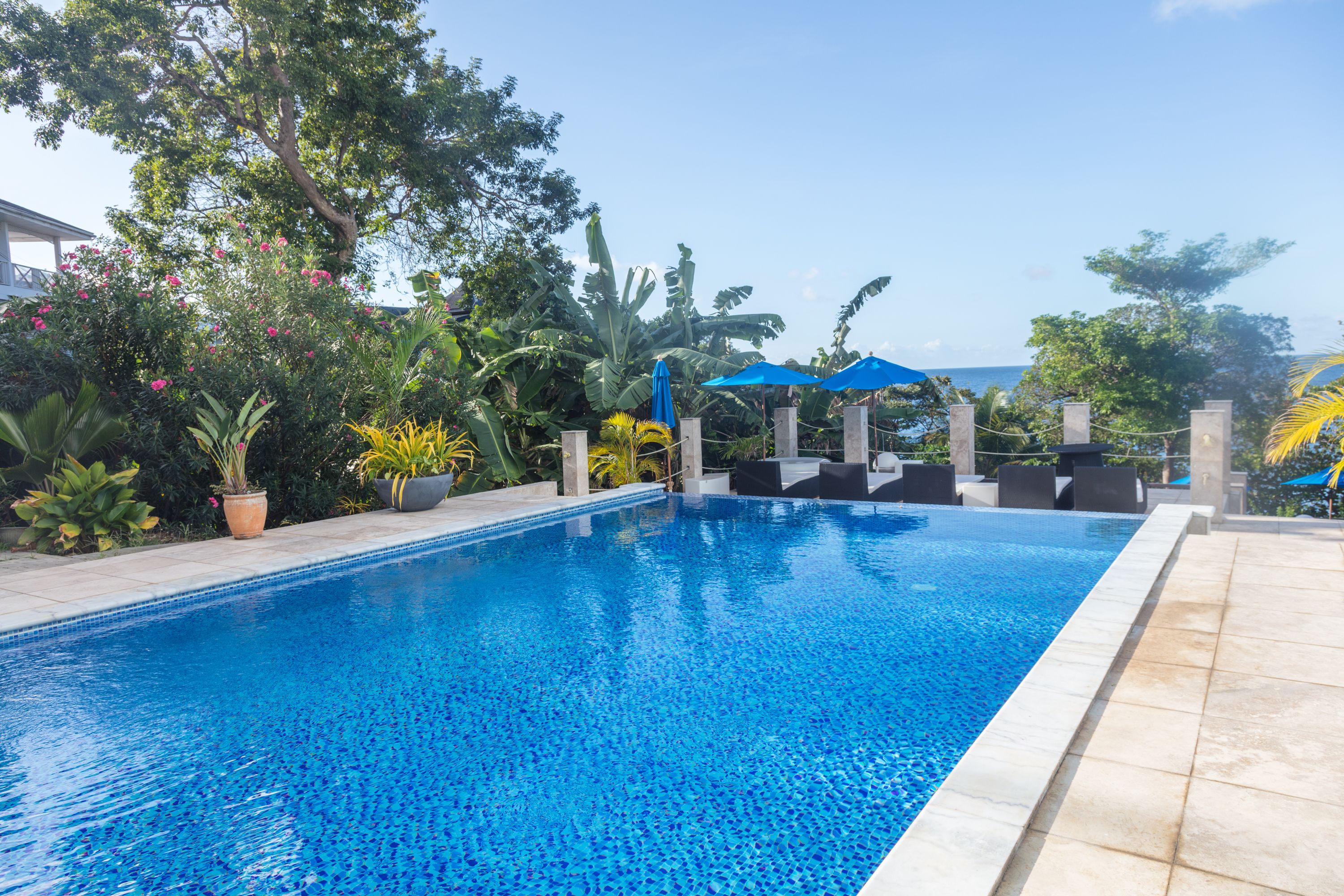 Piscina com borda azulejada, cercada por plantas em vasos e mobiliário de exterior.