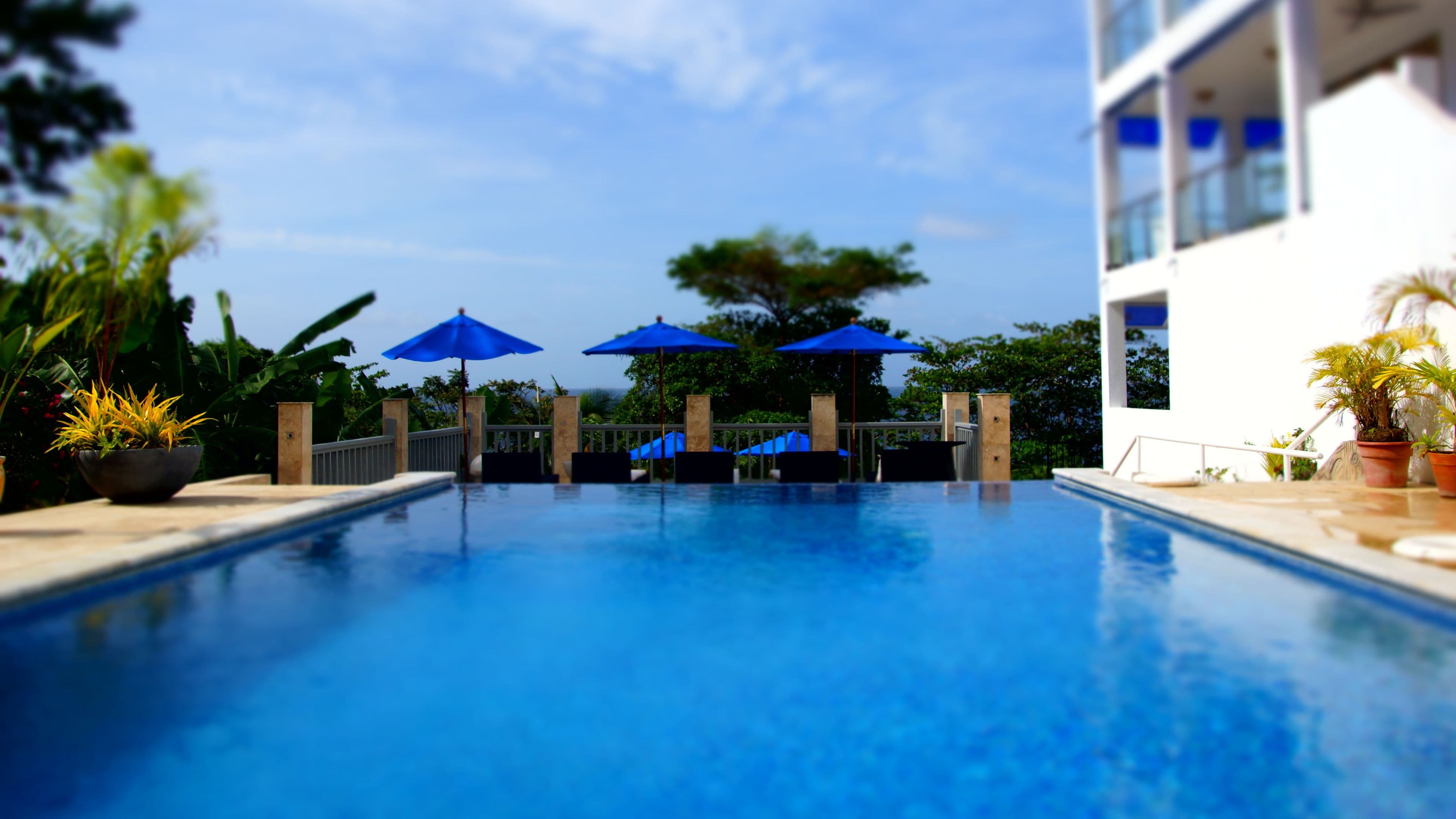 Une piscine bordée de parasols bleus, entourée de verdure et d’un bâtiment.