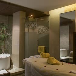 Executive suite | Badkamer met douche