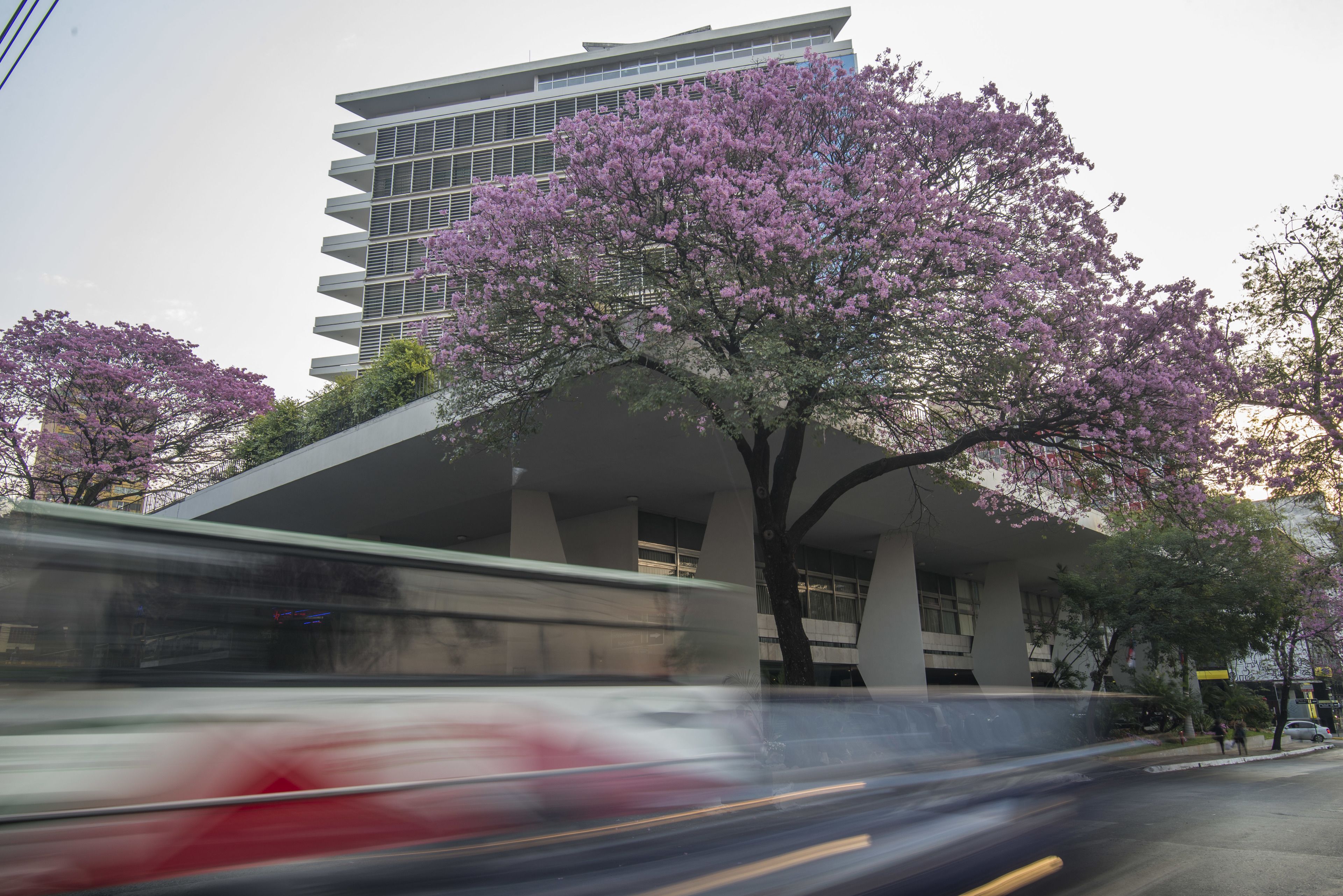 Photo - Hotel Guarani Asuncion