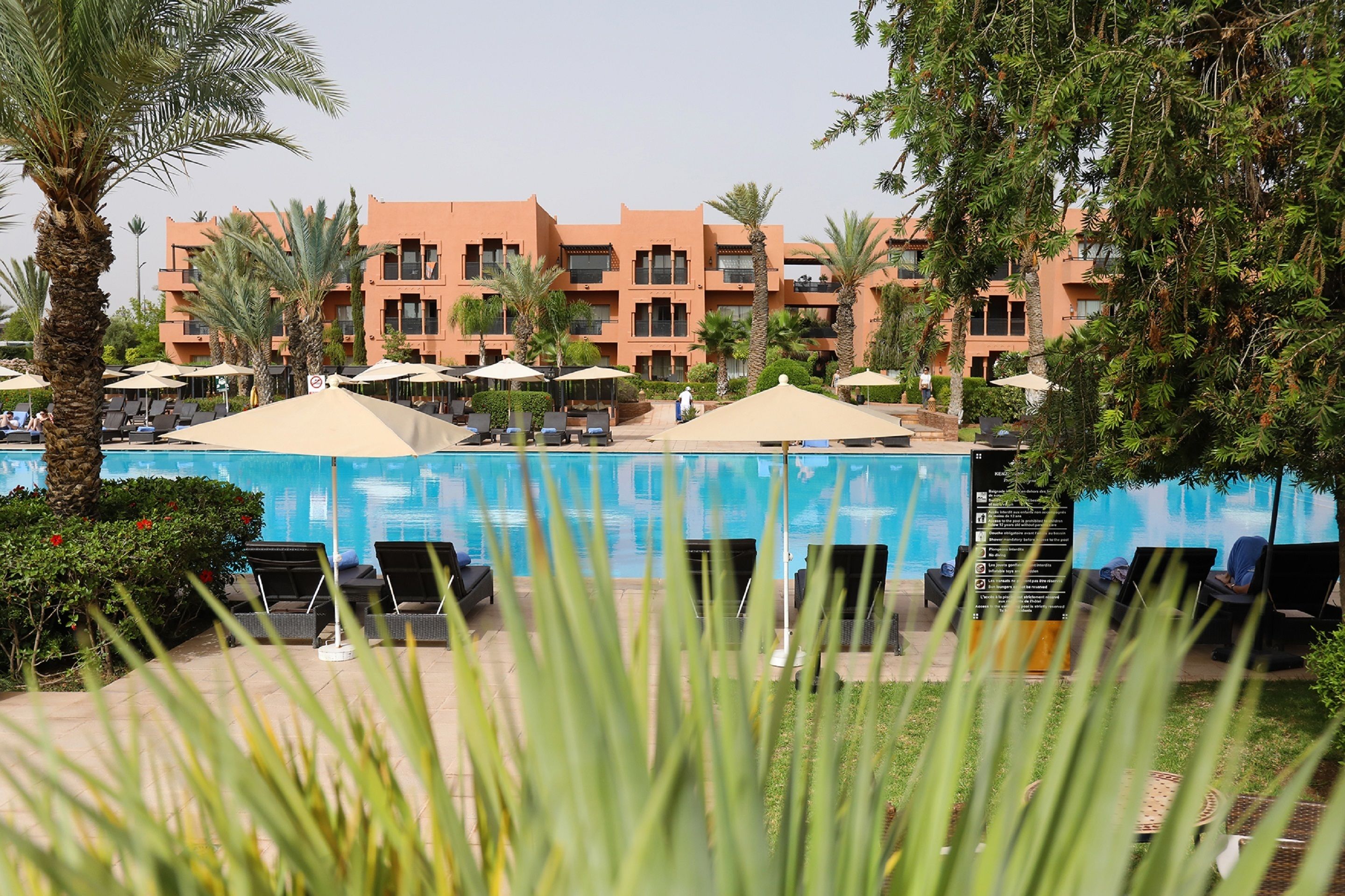 A hotel pool area with lounge chairs and umbrellas, surrounded by palm trees and a building with balconies.