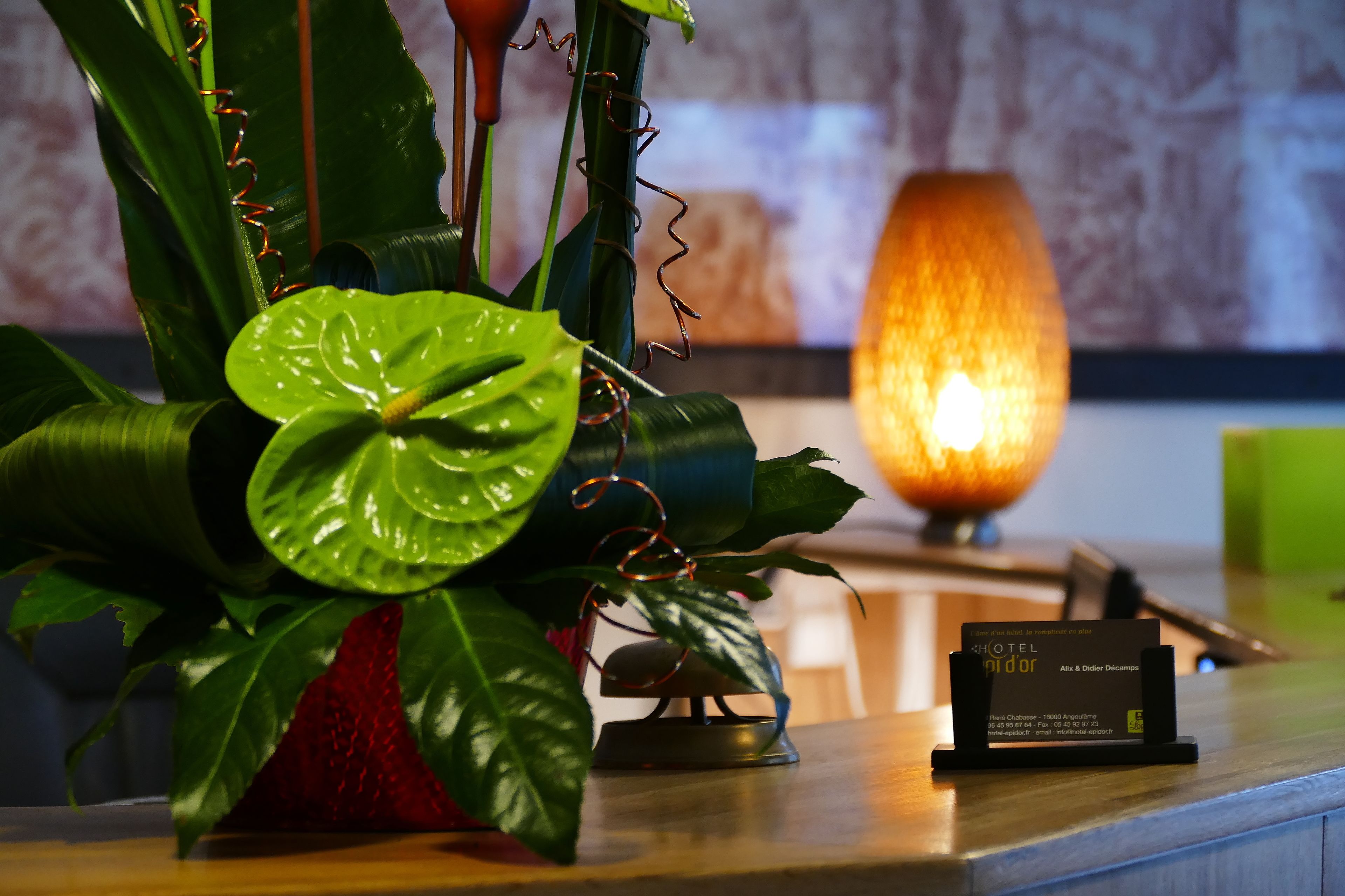 A reception desk with a potted plant, a lamp, and a business card.
