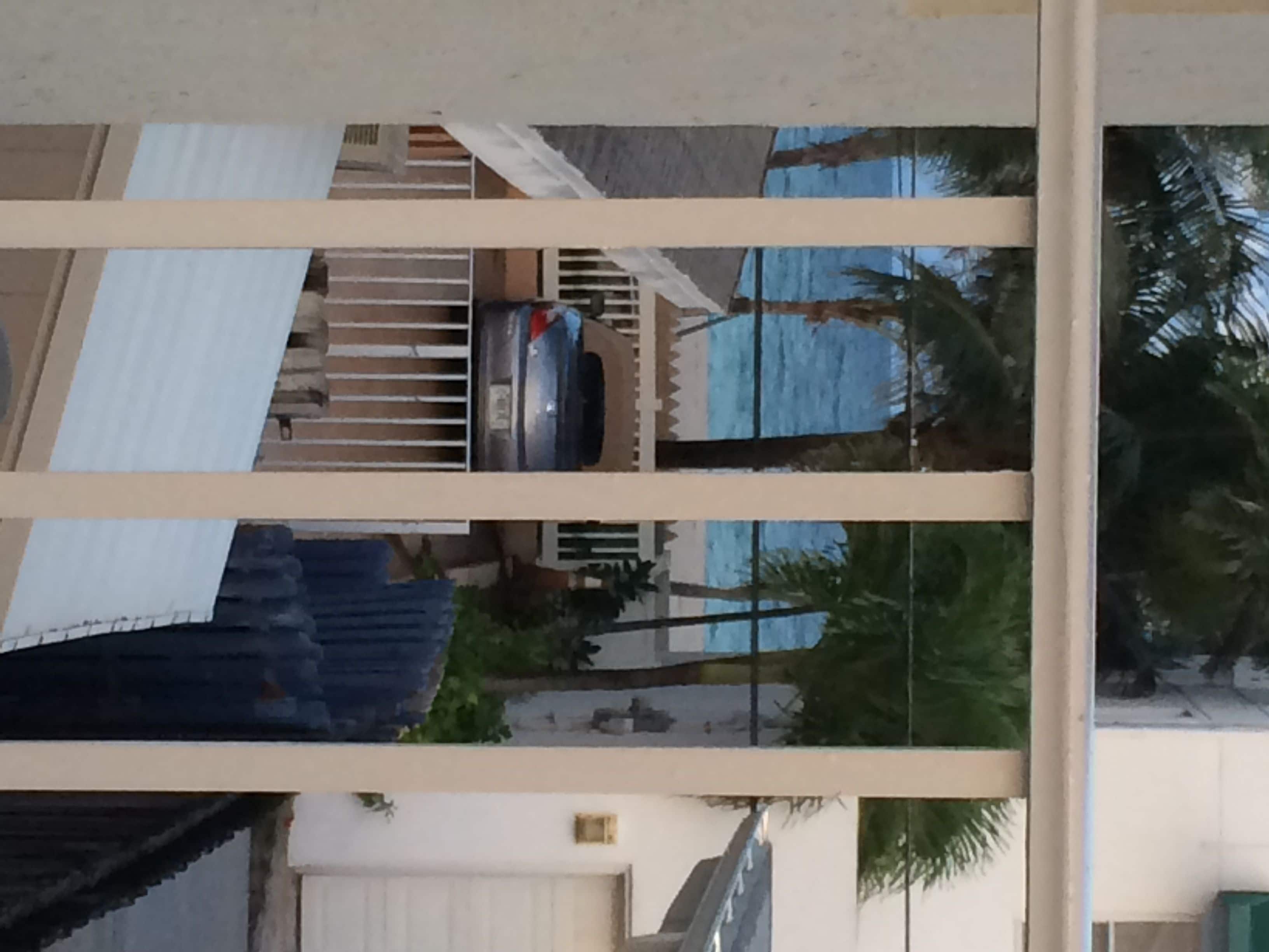 Photo - Hollywood by the Sea