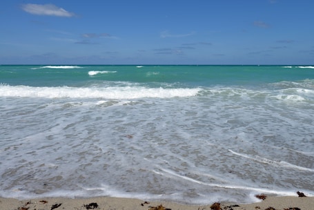 En la playa. Hollywood by the Sea Hotel