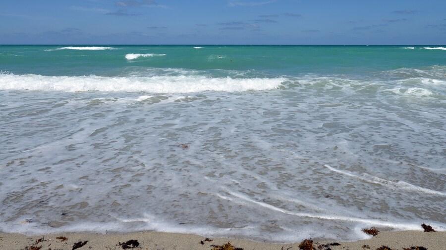 Hollywood by the Sea Hotel