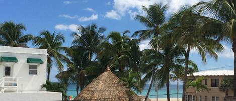 A beachside building with a thatched-roof structure, palm trees, and a view of the ocean.
