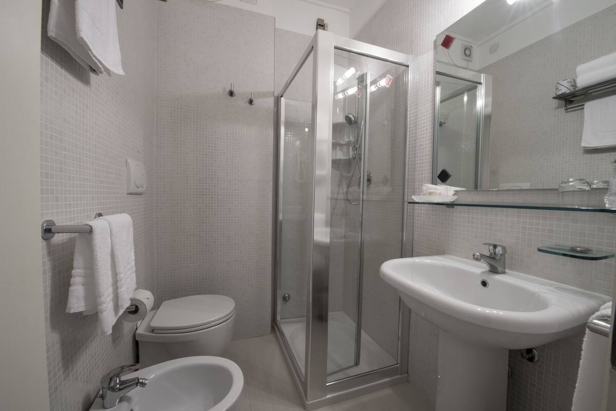 shower, free toiletries, hair dryer, towels