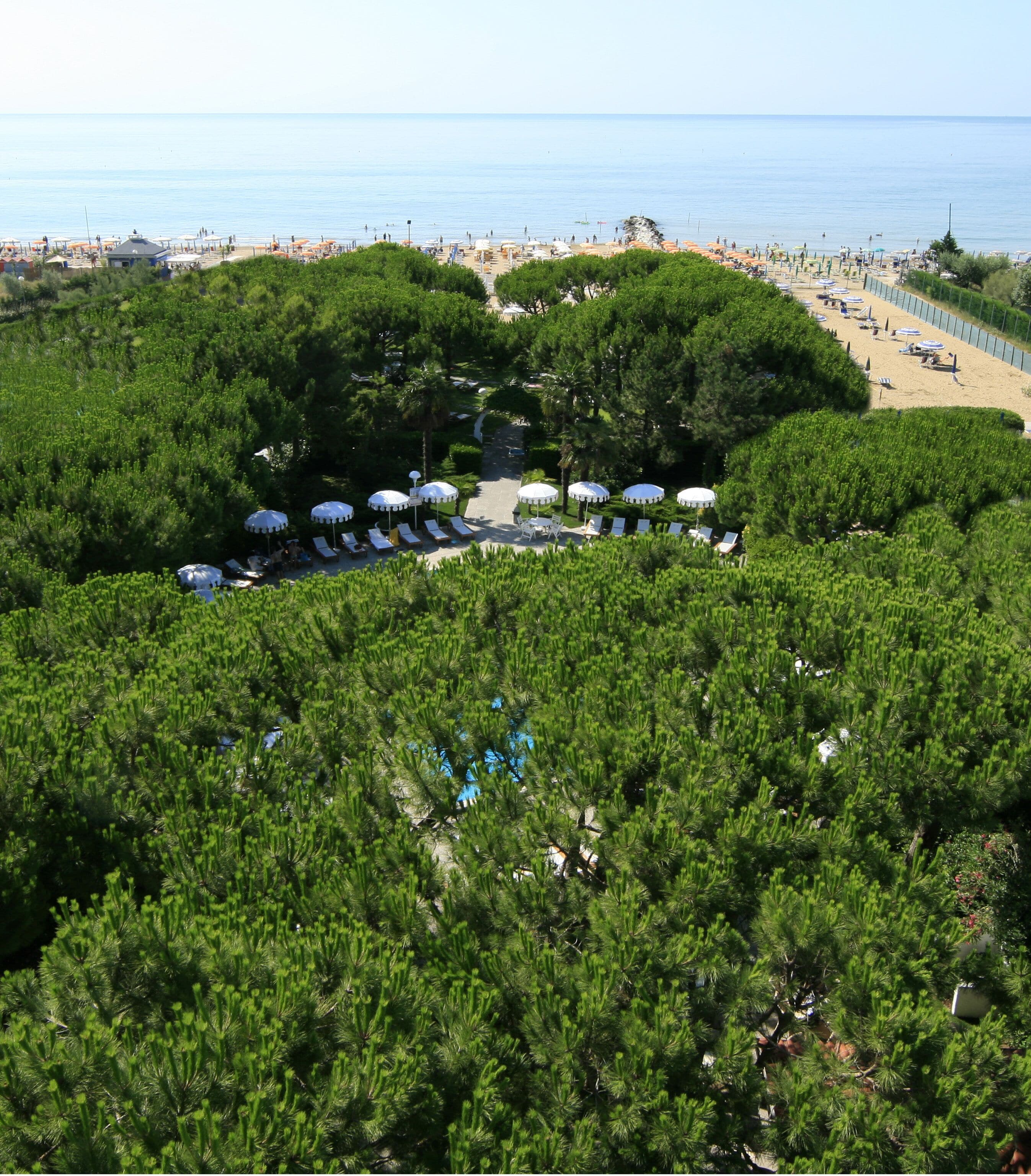 Foto - Park Hotel Maracaibo