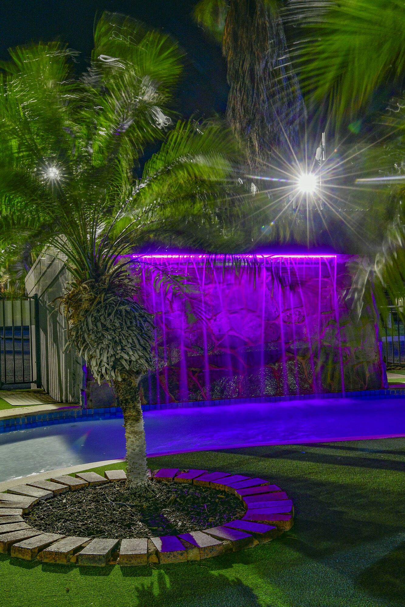 Un espacio al aire libre iluminado con luces moradas, con una fuente de agua, rodeado de palmeras y un camino pavimentado.