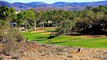 Ein Golfplatz mit freiem Blick auf das Grün, Sandbunkern und die umliegenden Bäume.