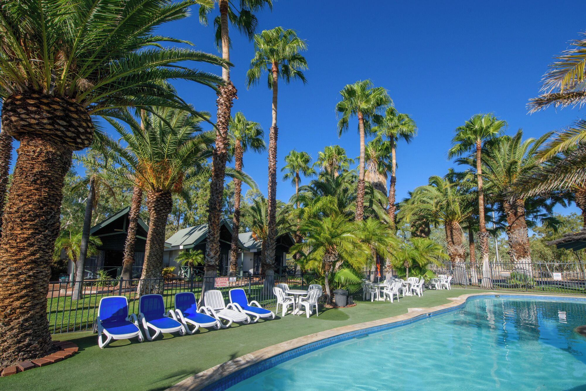 A poolside area with palm trees, lounge chairs, and a pool.
