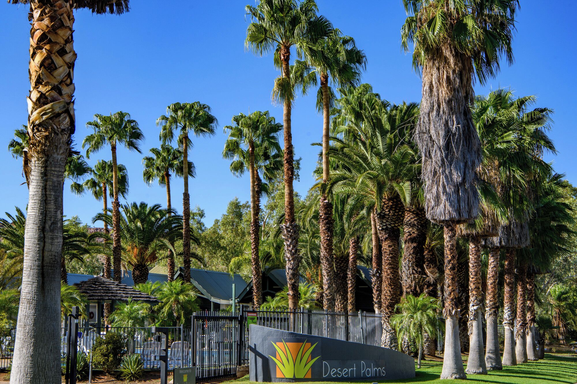 Photo - Desert Palms Alice Springs