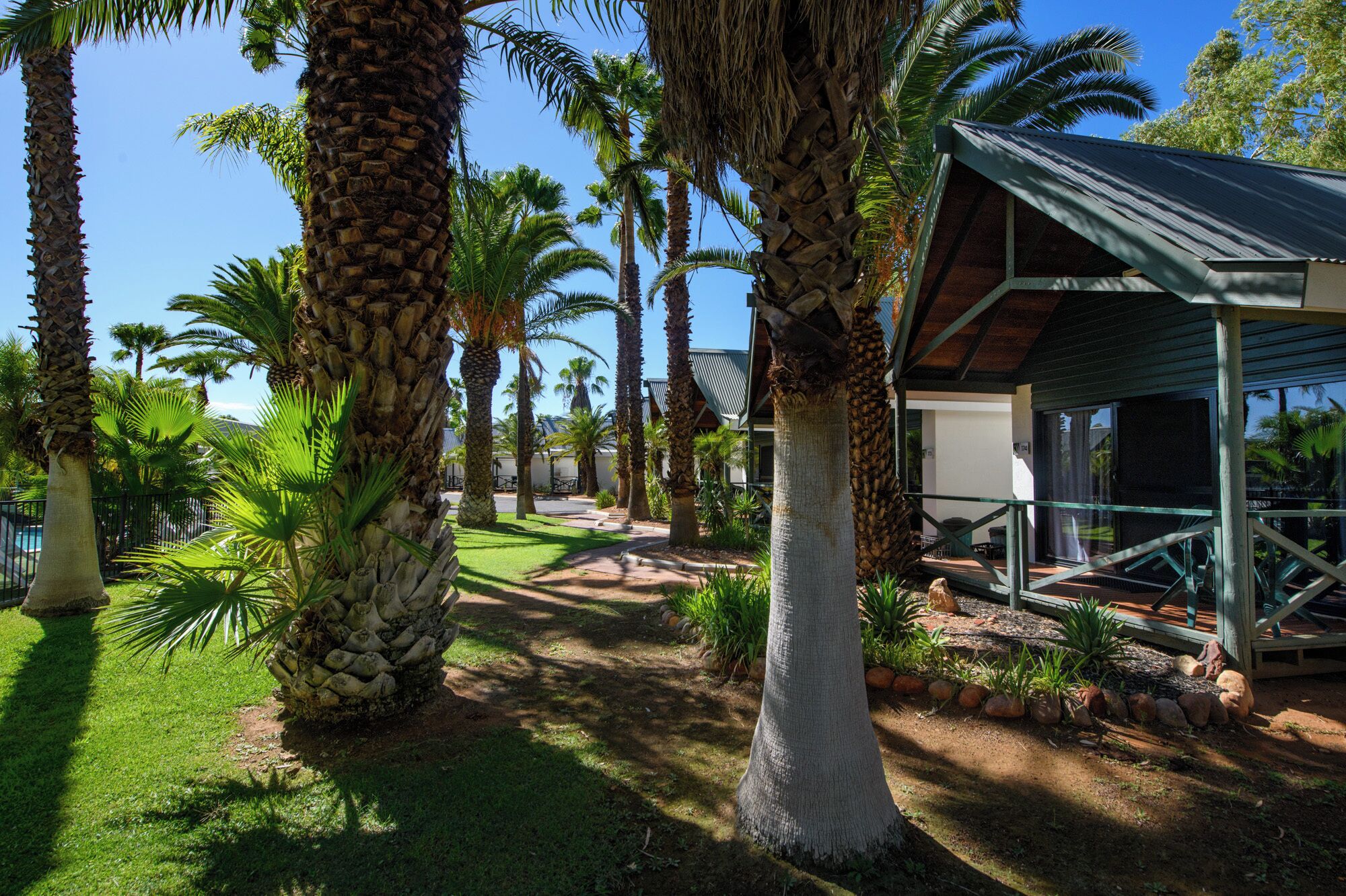 Photo - Desert Palms Alice Springs