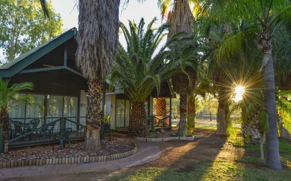 Desert Palms Alice Springs