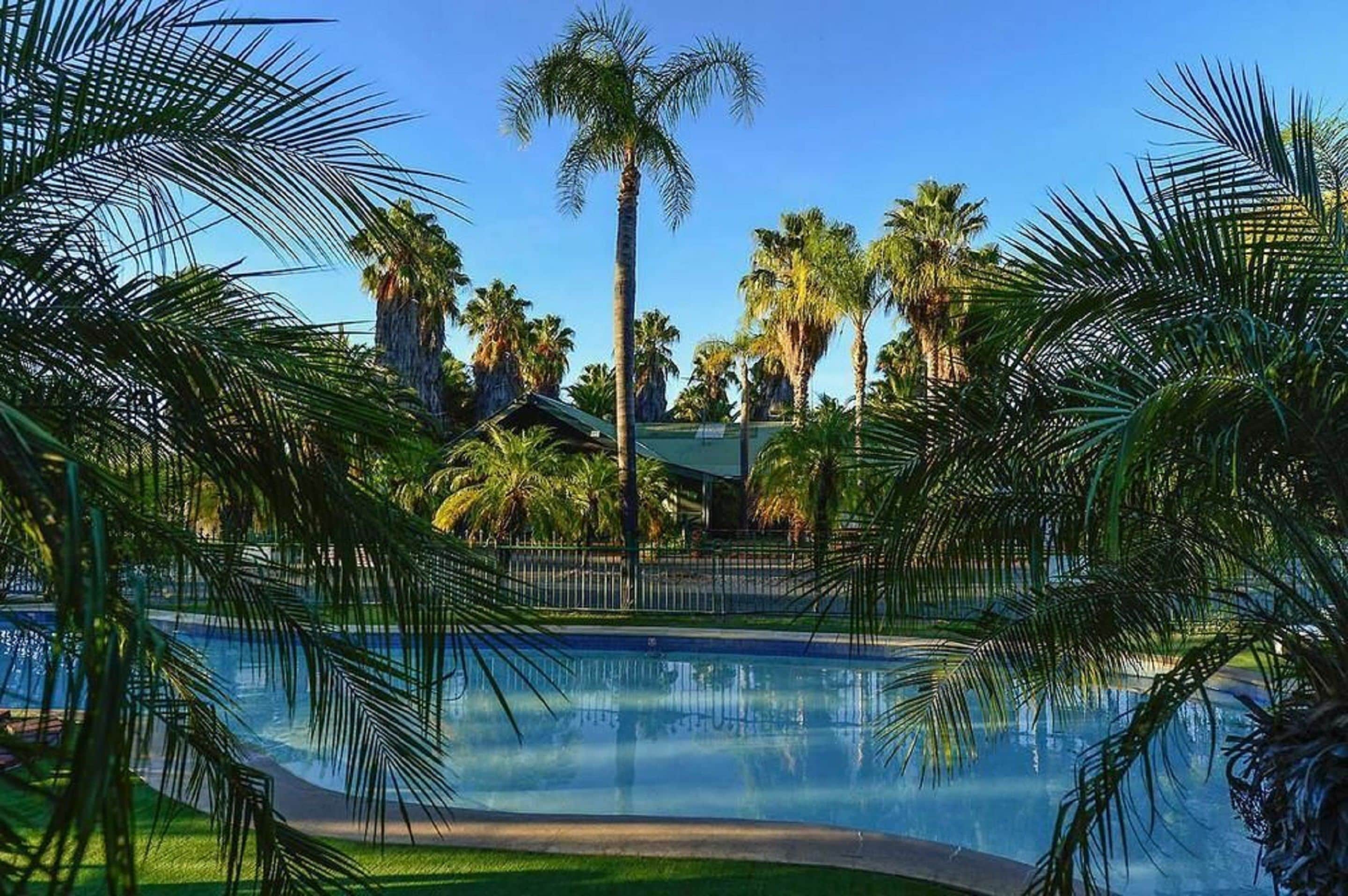 A swimming pool surrounded by palm trees and a building with a green roof.