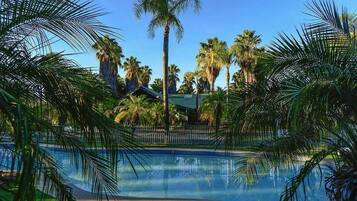 A swimming pool surrounded by palm trees and a building with a green roof.
