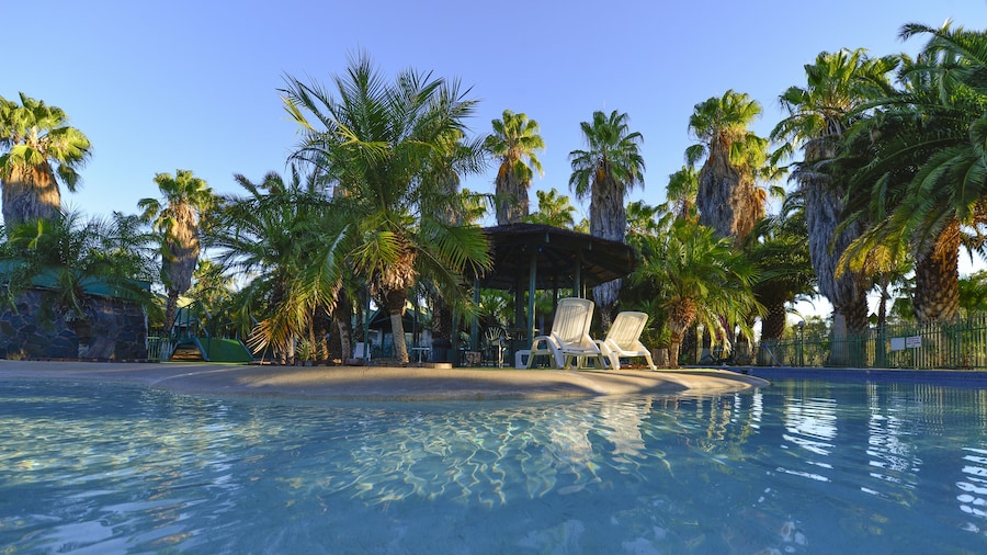 Desert Palms Alice Springs