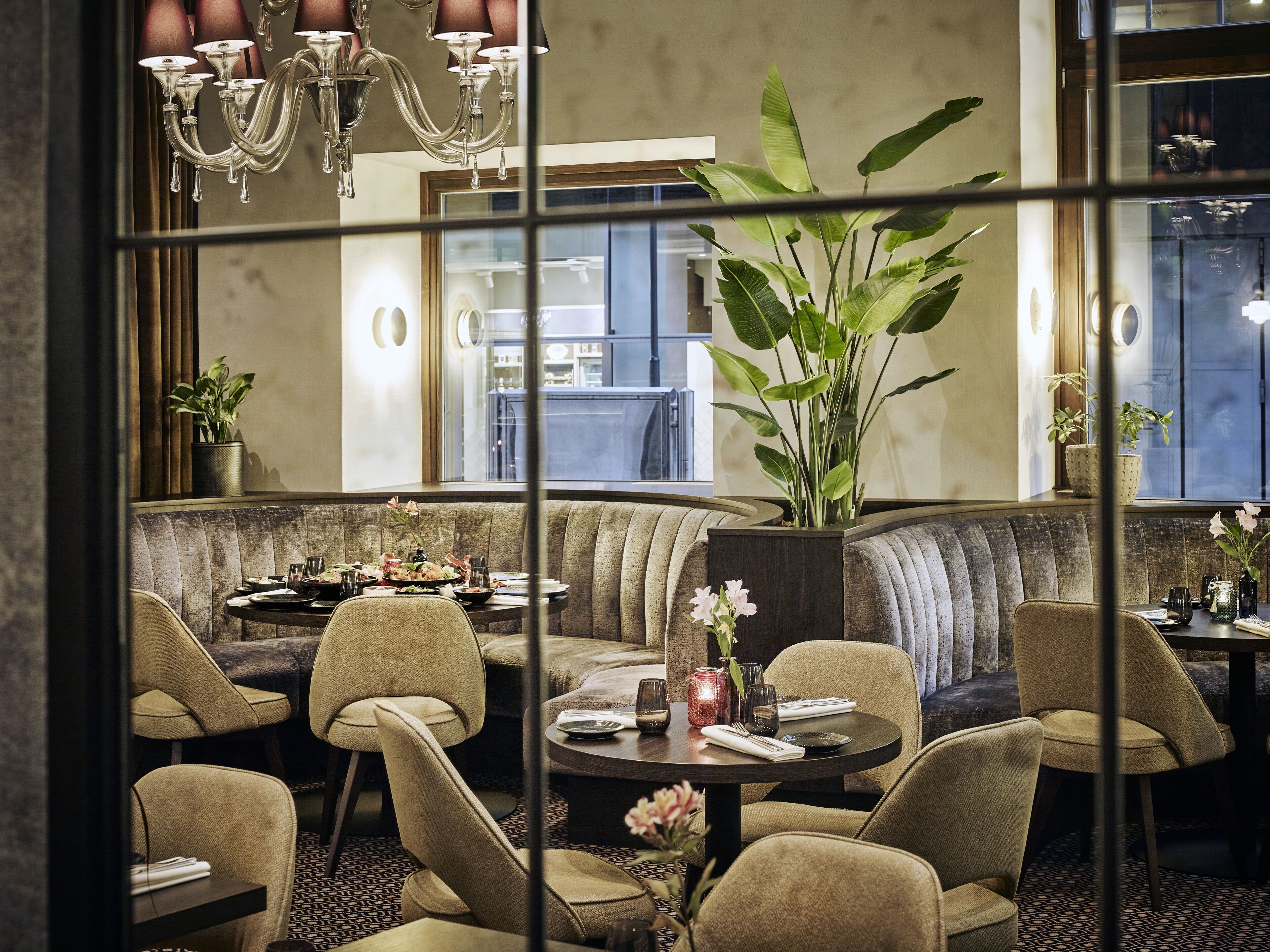A restaurant with a cozy seating area, a large potted plant, and a chandelier.