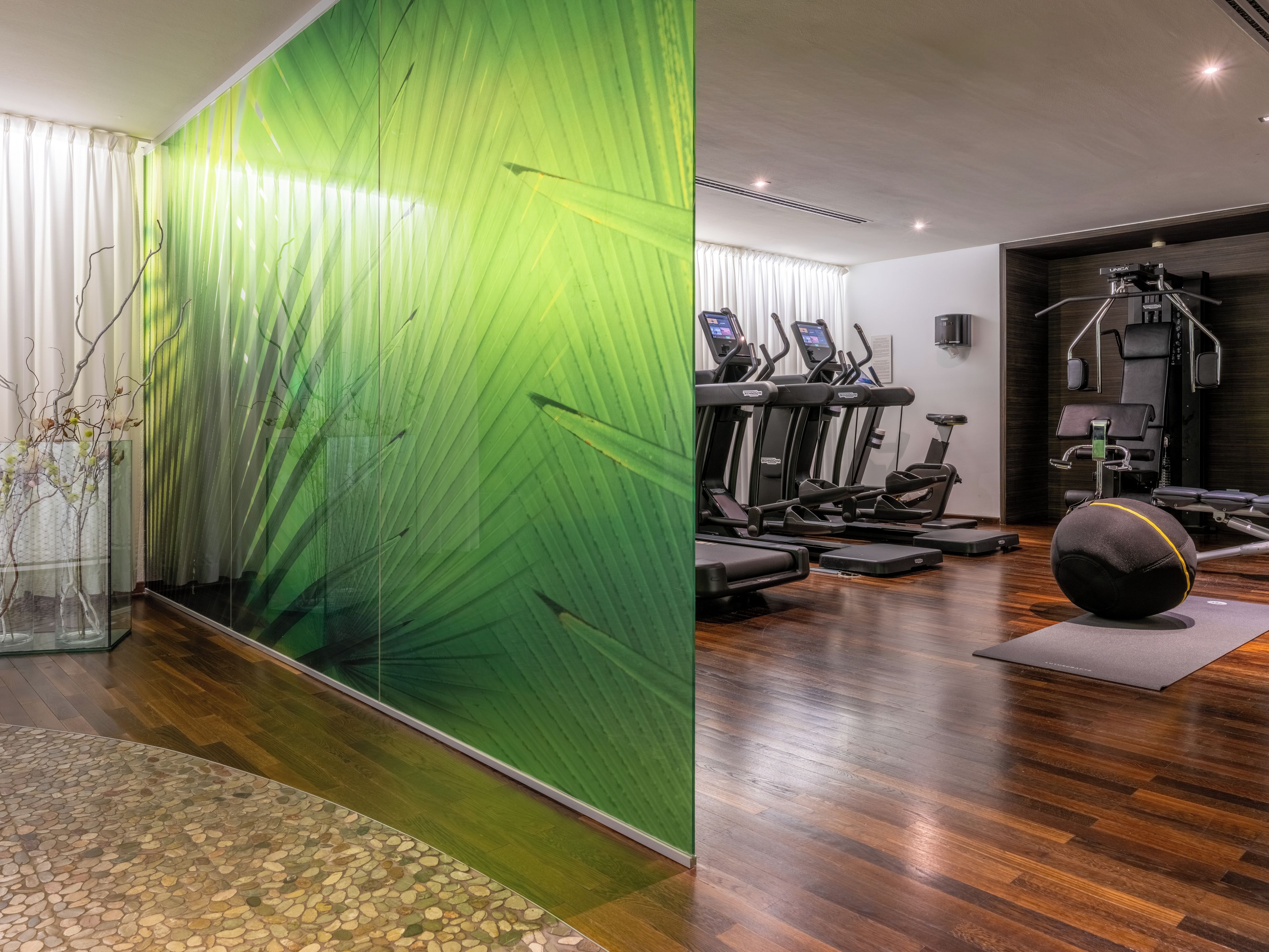 Ein Fitnessstudio mit Trainingsgeräten, darunter Laufbänder und ein Rudergerät.