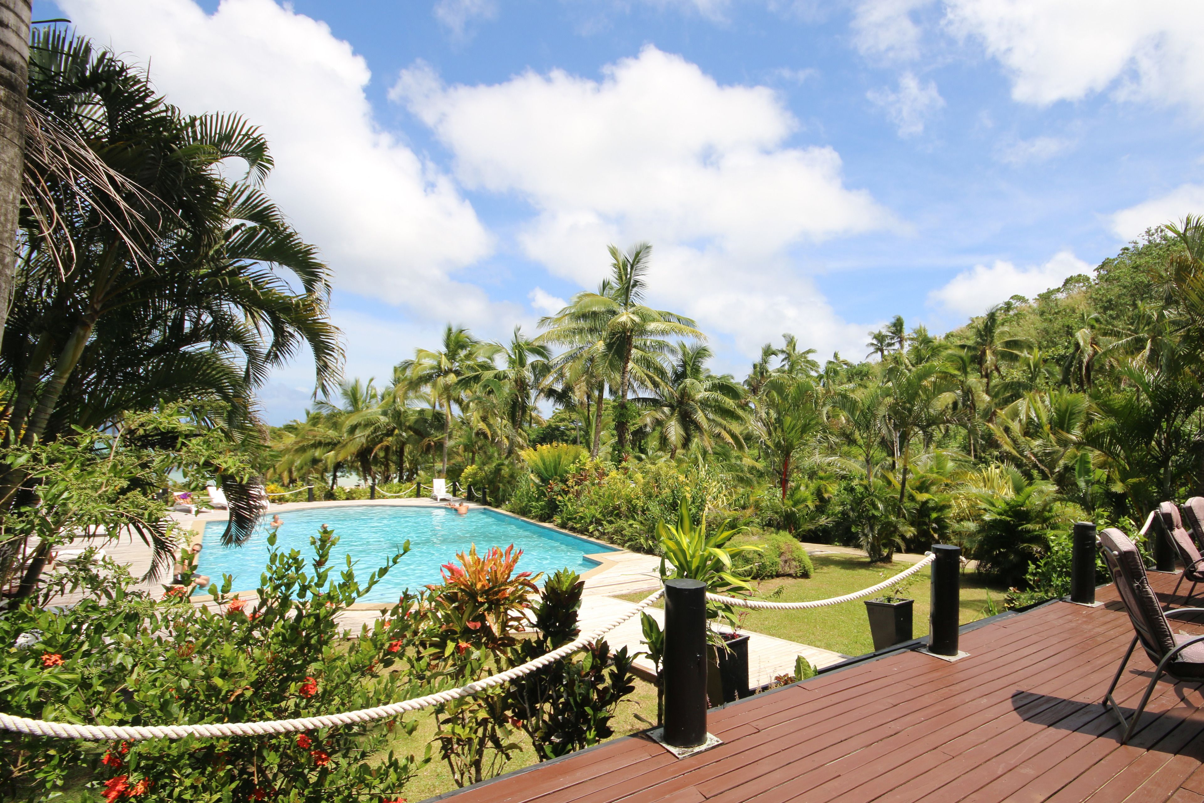 A pool surrounded by lush greenery and palm trees, with a wooden deck and lounge chairs.