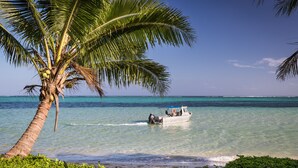 Un bateau sur une mer turquoise et limpide, avec un palmier et de la végétation côtière au premier plan.