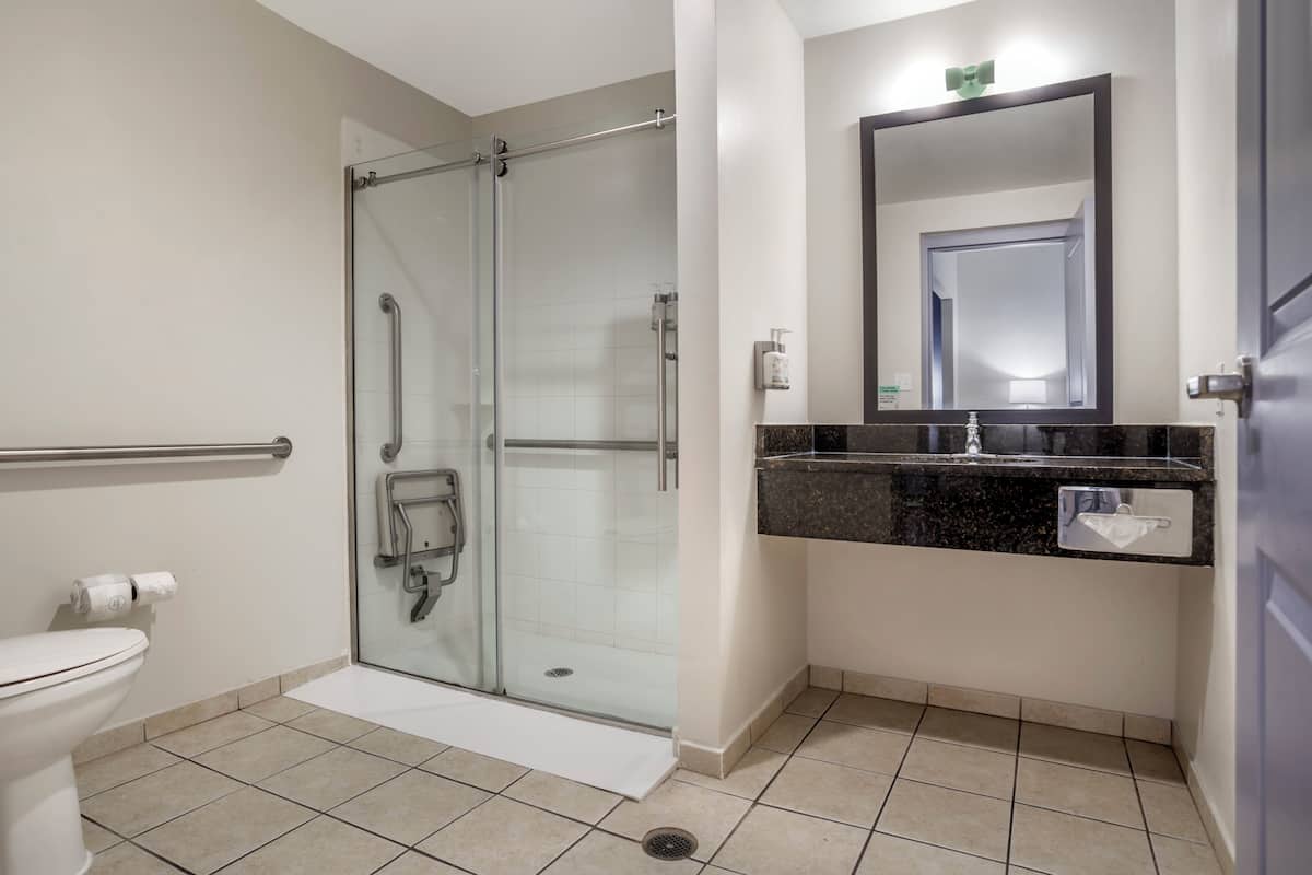 standard room, 1 king bed with sofa bed, mobility accessible (communications accessible) | bathroom | combined shower/bathtub, free toiletries, hair dryer, towels